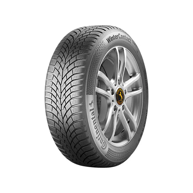 175/65 HR17 TL 87H  CO TS870 FR